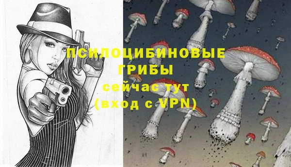 дживик Михайловка